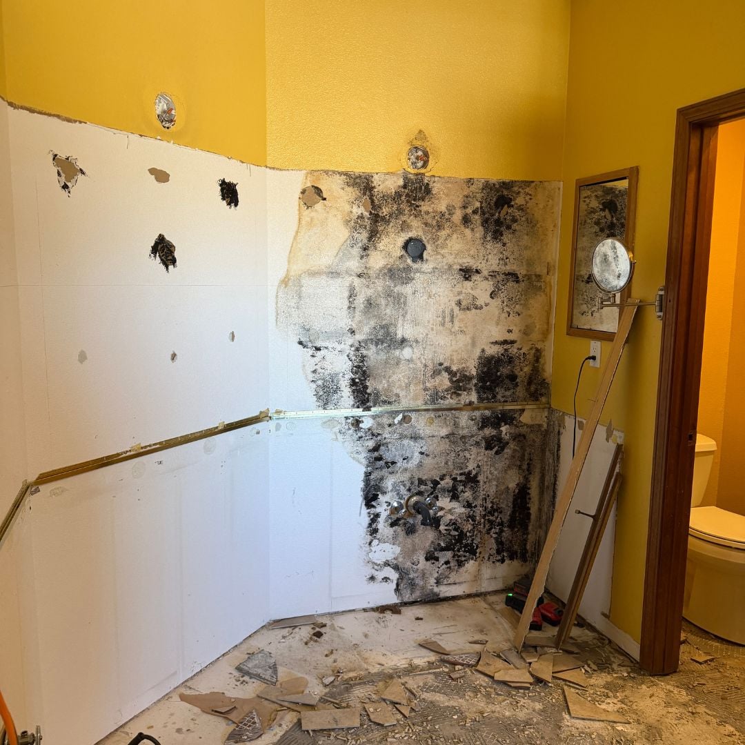 Next Level Restoration & Remodel